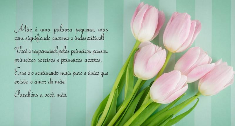 Imagem Indisponível